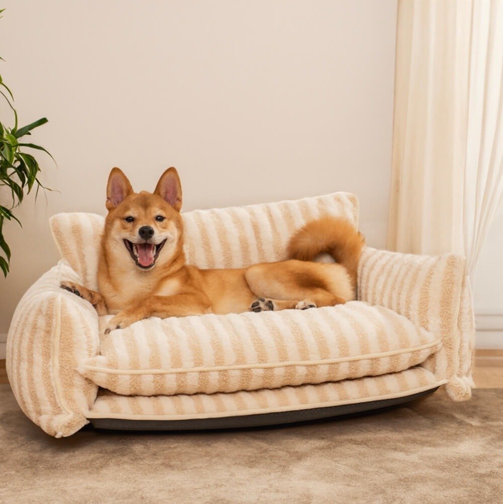 Sofa pet Bed
