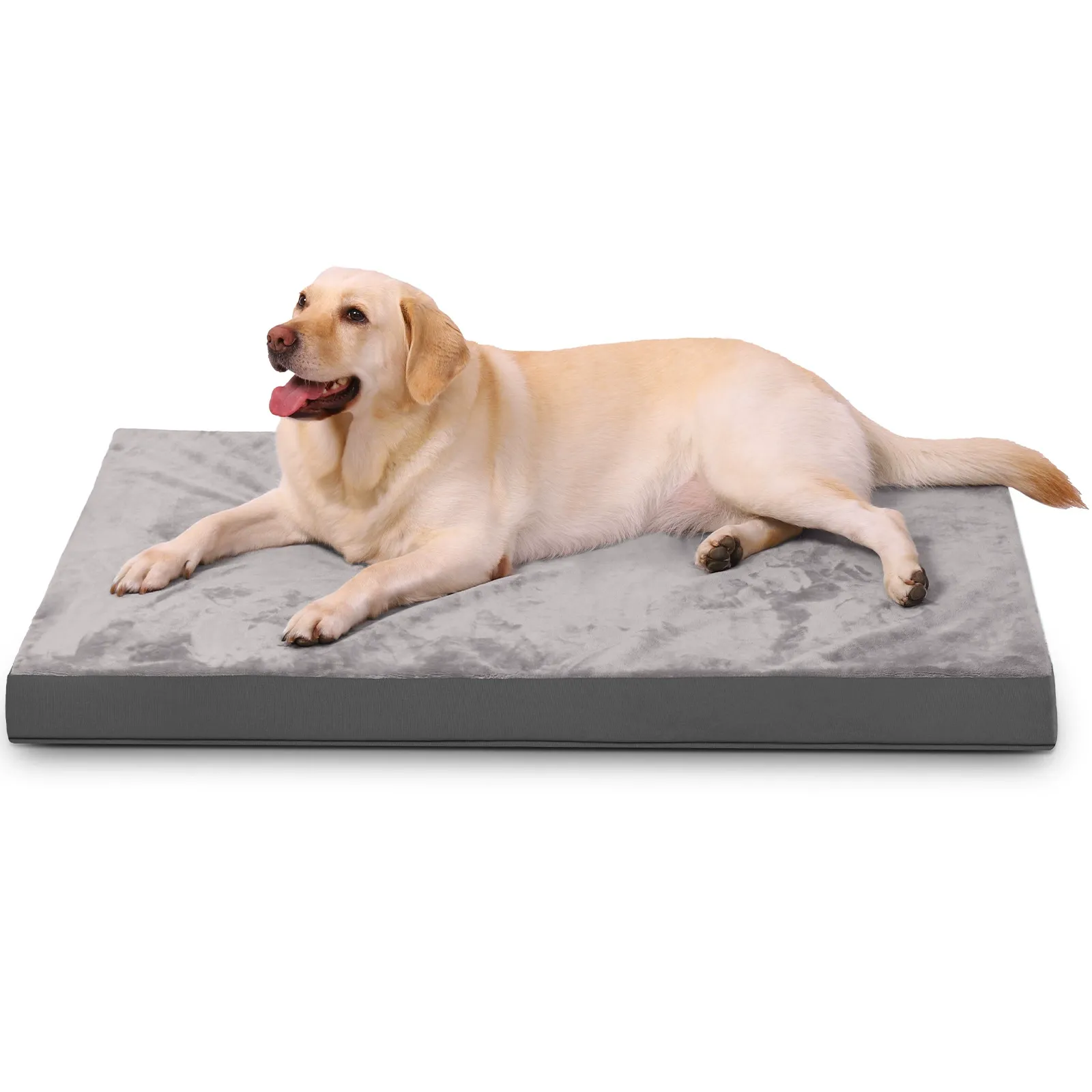 dog Foam Mat