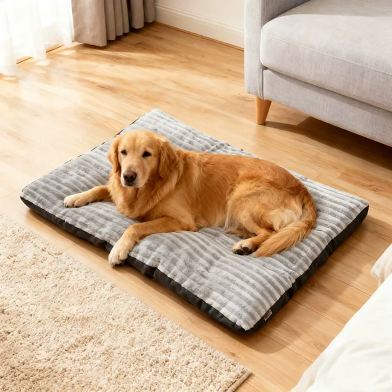Sleeping Dog Mat
