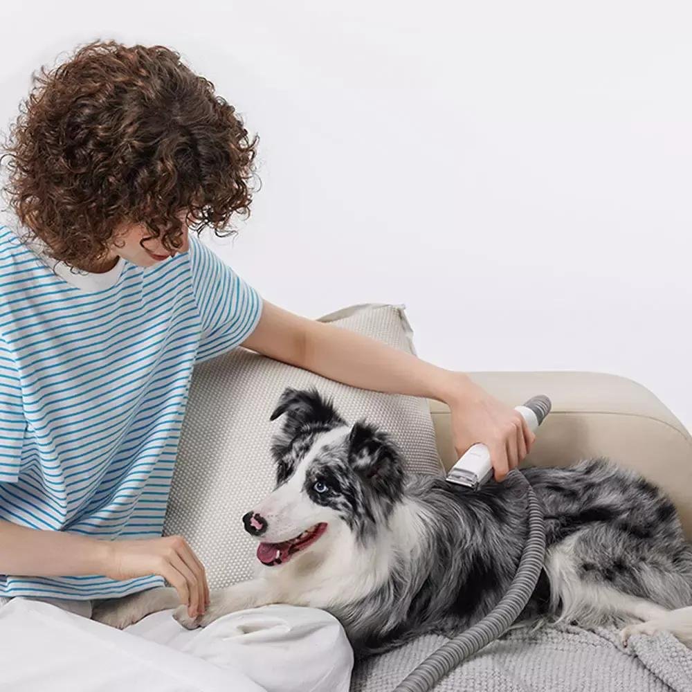 pet grooming