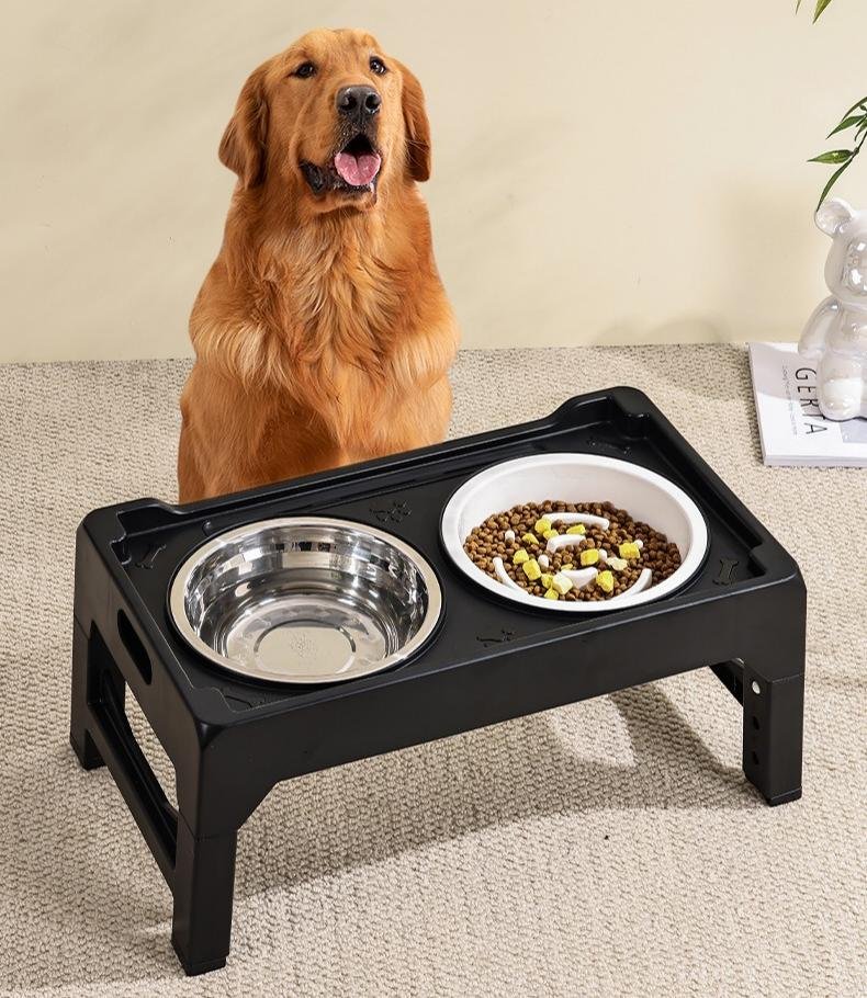 Pet Feeding Station