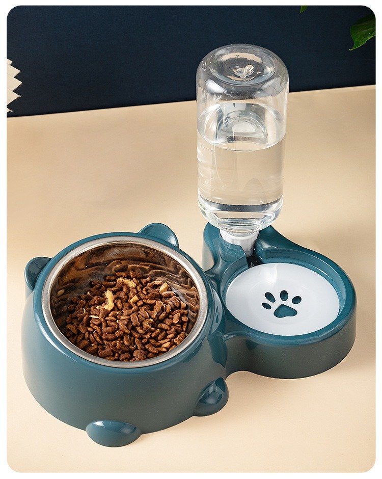 Pet Feeding Bowl