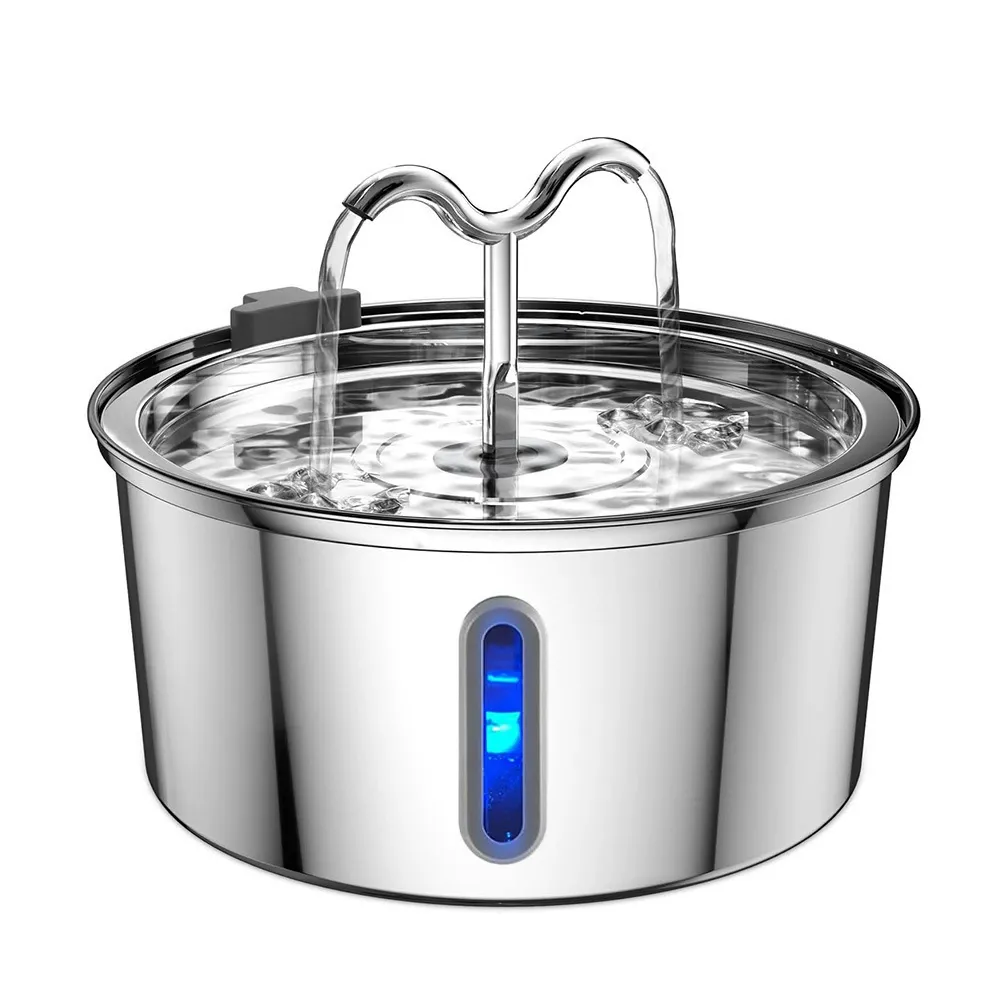 dog drinking fountain