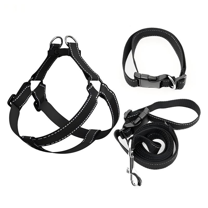 Custom Pet Leash Set