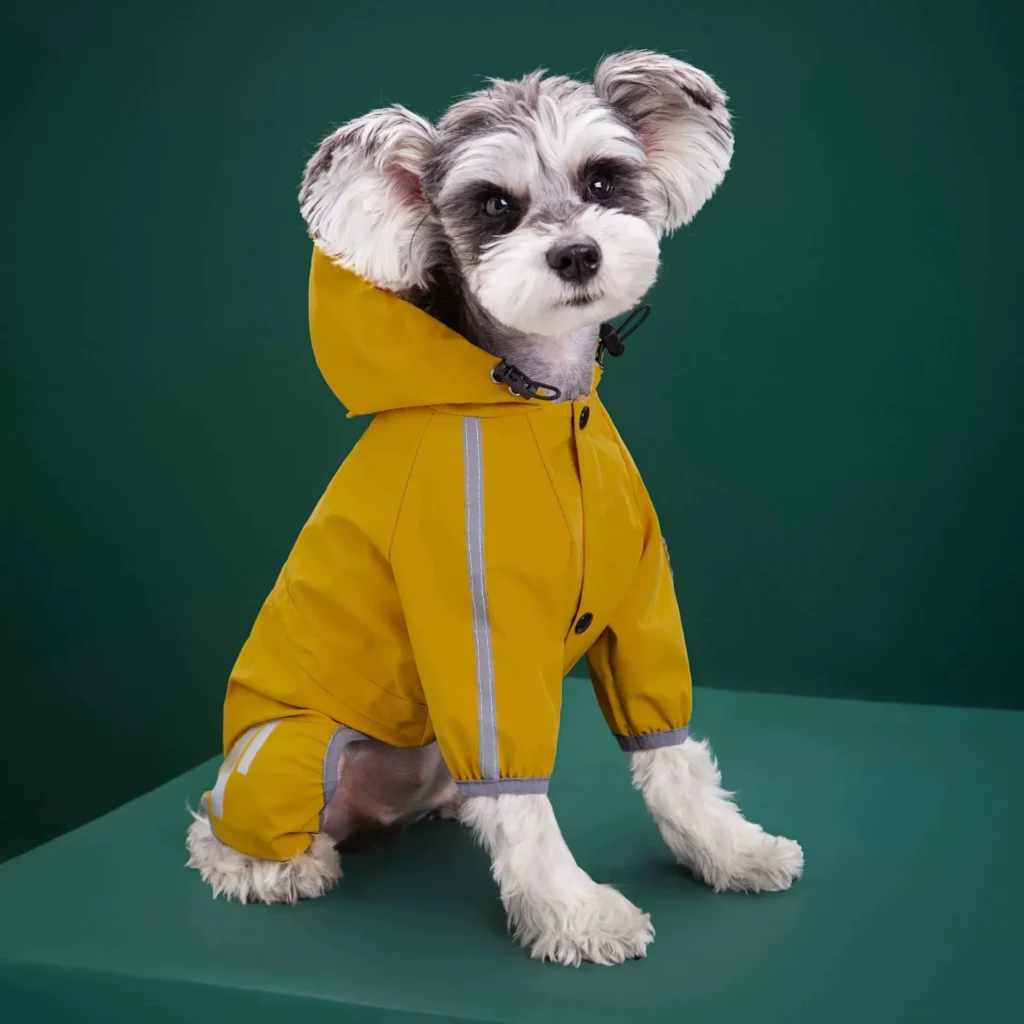 Custom dog rainwear