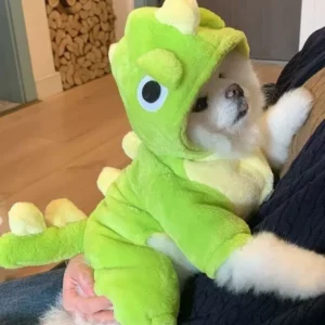 Dinosaur Fleece Costume