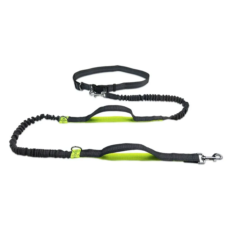 Elastic & Hands-Free Dog Leash