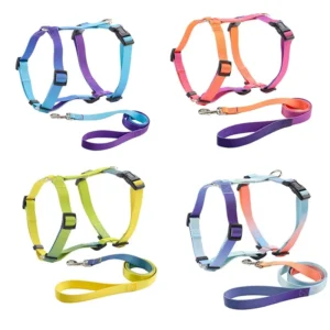 Gradient H-Type Harness