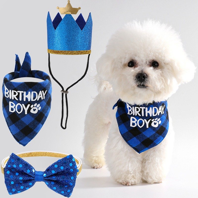 Pet Birthday Accessory Set