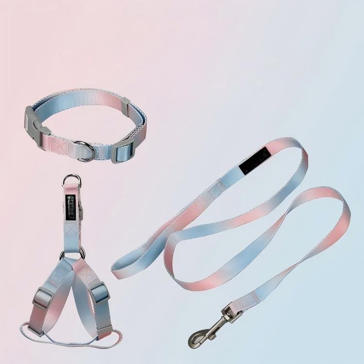 collar harness leash set