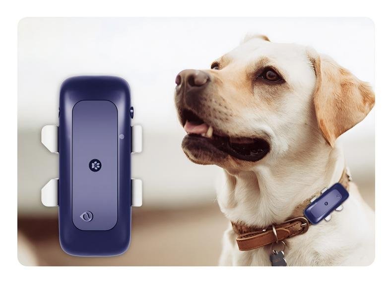 4G Pet GPS Tracker