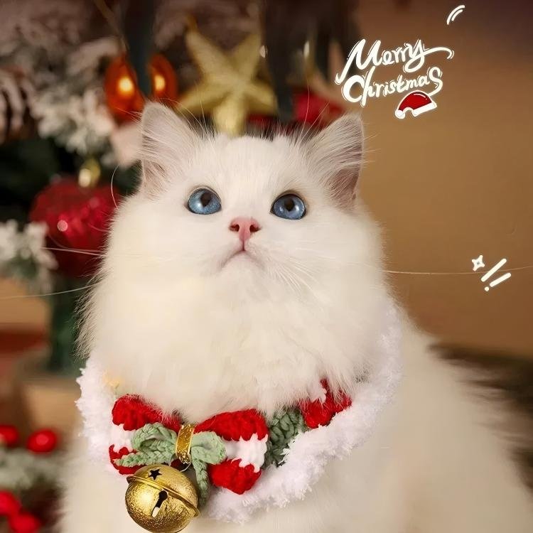 Christmas Cat Collar