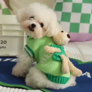 Cute Bear Knit Pet Sweater