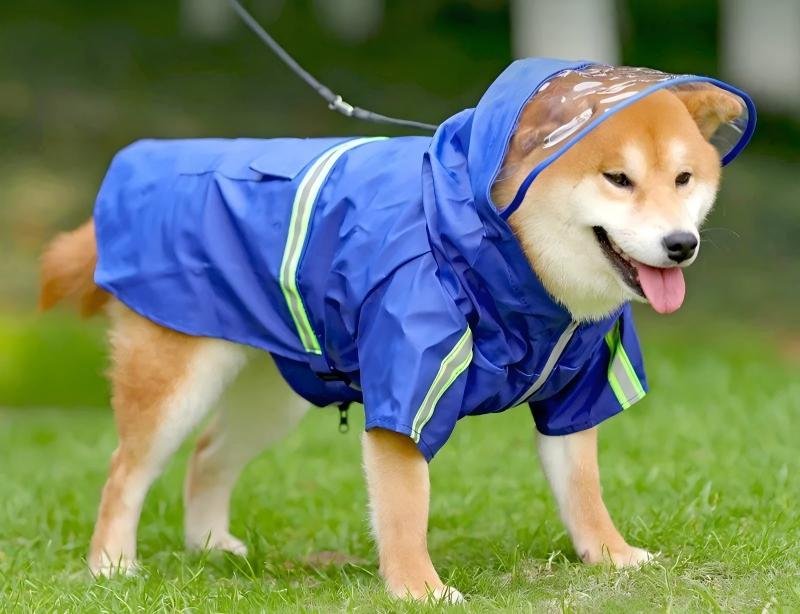 Dog Raincoat