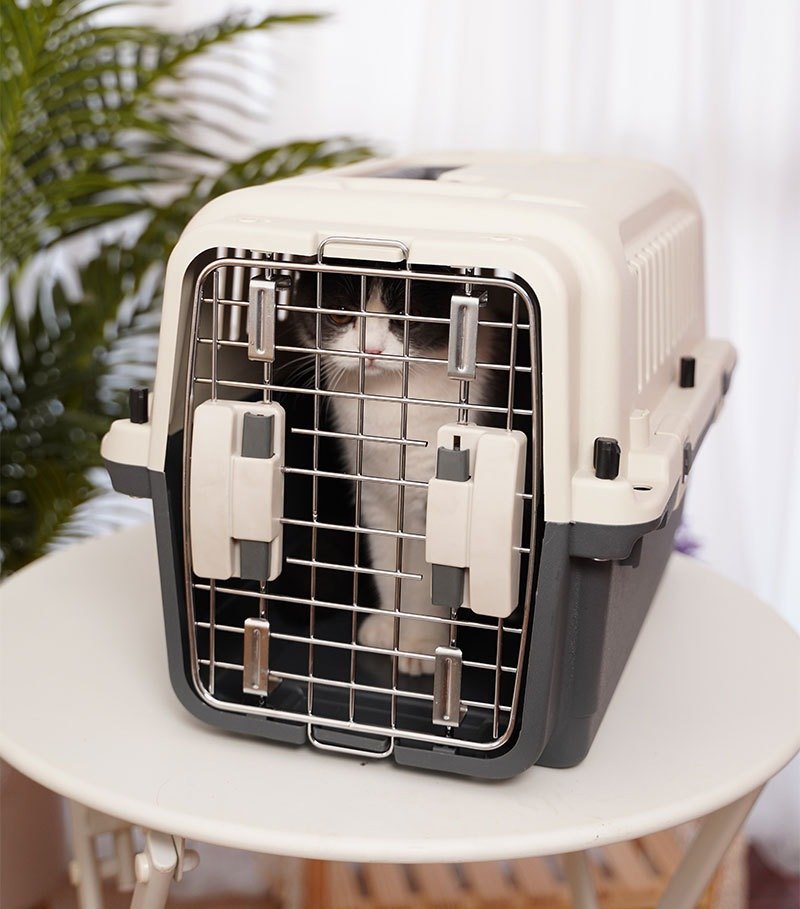 Dog Travel Cage