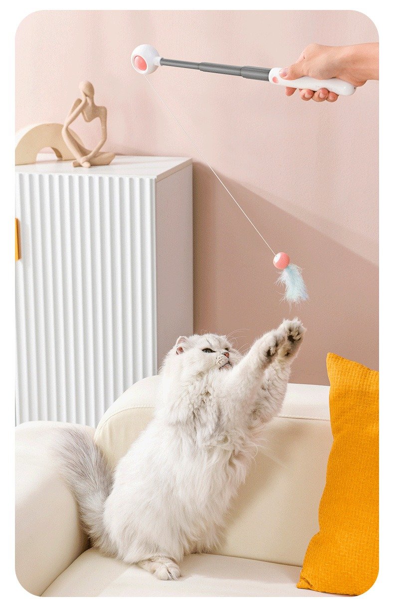 Interactive retractable teaser wand