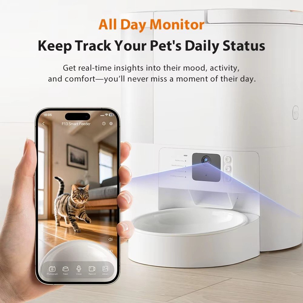 Smart cat Feeder