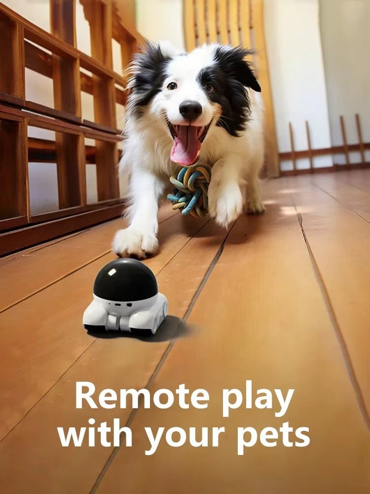 pet monitoring camera