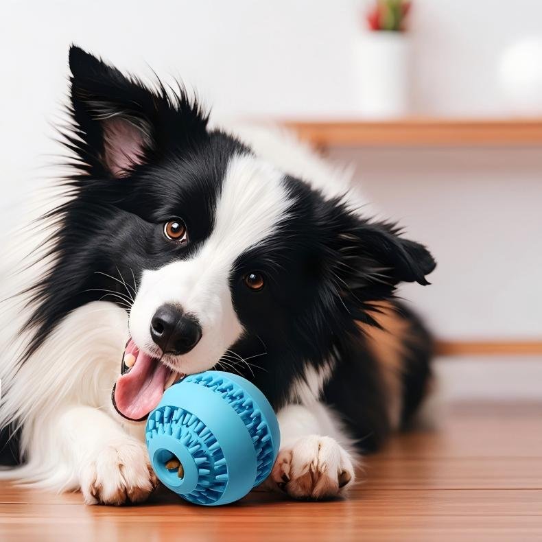 dental feeding balls