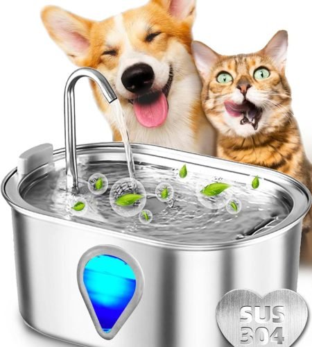 Pet Water Bowl